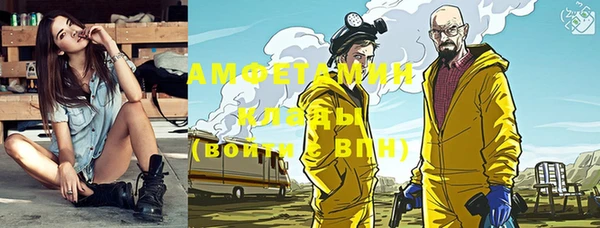 гашик Бежецк