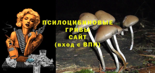 соль ск Нефтекумск