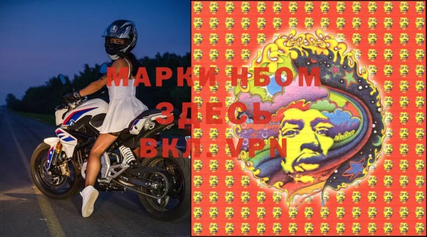 эйфоретик Бикин