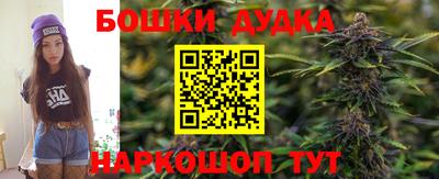 гидра Берёзовский