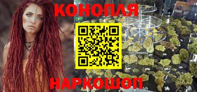 спиды Бийск