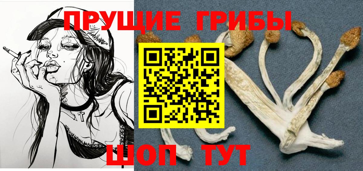 Галлюциногенные грибы Psilocybe Заинск