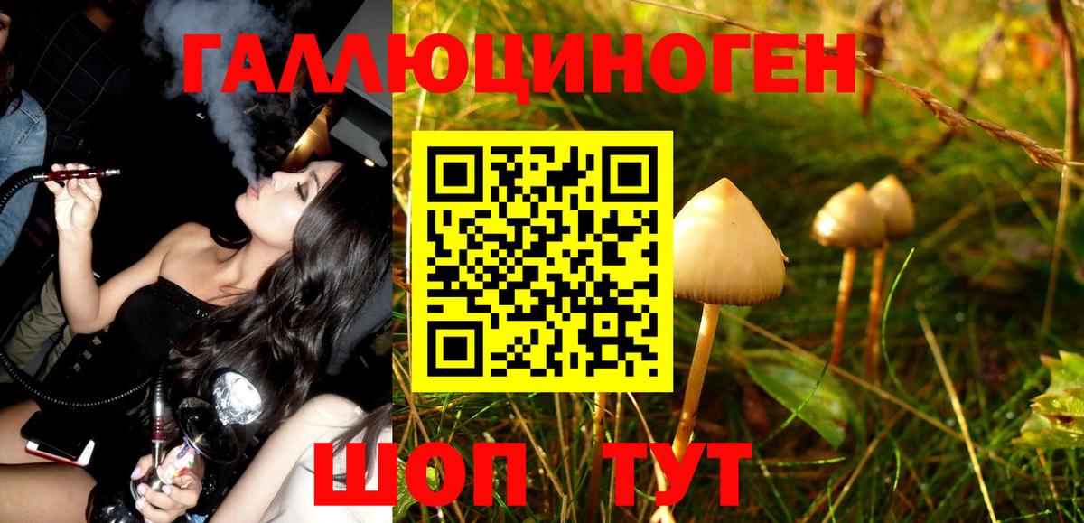 Заинск  Галлюциногенные грибы MAGIC MUSHROOMS  Вход с VPN 